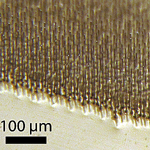 AC_atwater-wire-array-micro.gif AC_atwater-wire-array-micro.gif