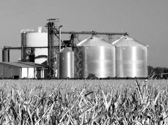 biomass, Biofuel, Alcohols, Ethanol