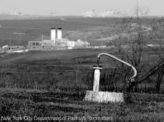 biomass, landfill gas/biogas